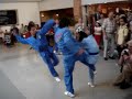 vovinam demonstration den bosch   rompert