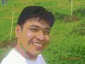 tree planting tree planting