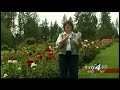 Great Gardens: Manito Park Rose Garden