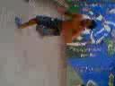 Sigit lagi nge dance Sigit lagi nge dance