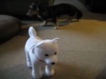 Click here to watch this video ちょっといじわるして。