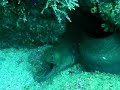 agua rica scuba tamarindo