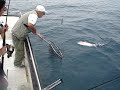 pargo 5,400kg pargo 5,400kg