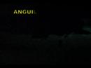 Anguila Cenote Anguila Cenote