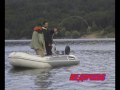 CATFISH 83kg.СОМ,VELS