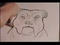 Pencil Bulldog