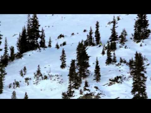 videos snowbird non unofficial videos locations home page news ski blog 0