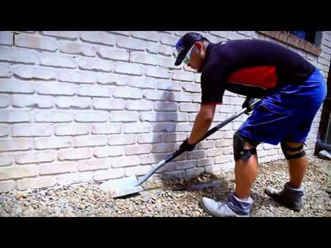how to treat termites