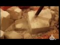 Search Video