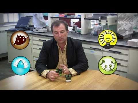 how to collect arabidopsis seeds