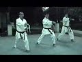 Entrenamiento técnicas básicas karate Entrenamiento técnicas básicas karate