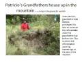 videos de Rainforest Reforestation Plea - Ecuador