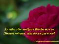 AMO VCS DOIS-06-06-05-54 wmv