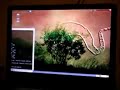 XGL on Ubuntu 6.06 i386