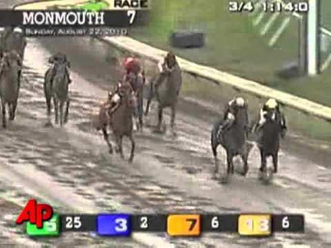 horse racing horse racing