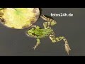 Lizenzfreie Fotos - Royalty Free Pictures Lizenzfreie Fotos - Royalty Free Pictures
