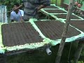 Flowerland Horticulture Nursery, Pathsala Assam