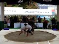 Suzanne's Sumo Fight