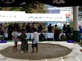 Suzanne's Sumo Fight