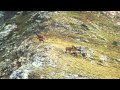 Pyrénées Orientales - Sardane