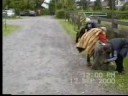 Coursing Lomianki wrzesien 2000 r.cz.1 Coursing Lomianki wrzesien 2000 r.cz.1