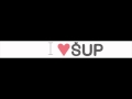 VŠUP SHOP 2010 /promotion/