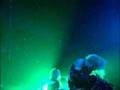 Lolita23q - 888~kohakutou no shojo~ (live)