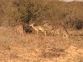 Mexico Rut.wmv