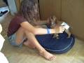 videos de brossage