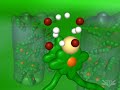 Photosynthesis