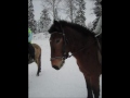 video preview image