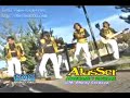 alasser - acariciame y olvidame (djrobinz)