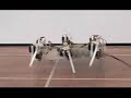 robot six 6 legs walking odtu metu electronics electrical robot six 6 legs walking odtu metu electronics electrical