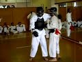 nippon kempo venezue