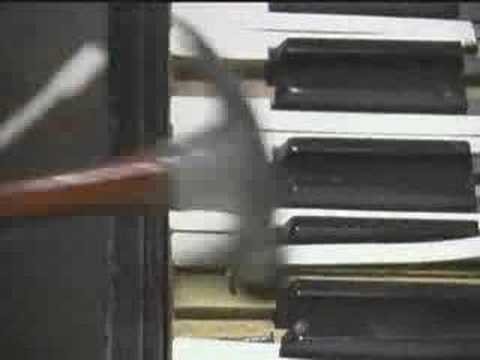 Video de Piano Piece #13 (Carpenter's Piece) de Sonic Youth