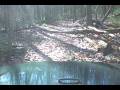 4-1-Tree-Down-Turn-A