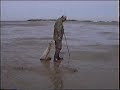 Outer Banks Fishing
