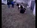 flo y el caballo