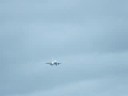 Air europa 737-800 landing at aldergrove