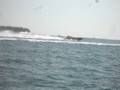 videos de key west boat races
