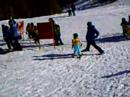Laks_Skiing
