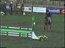 Mirage Du Flambeau, child/adult jmpr, sale or lease.