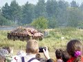 Hetzer at Kubinka, 2004