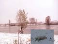 videos de Chicko in de sneeuw