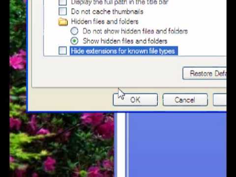 how to locate autorun.inf