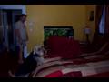 Airedale Terrier video