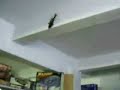 mini helicopter apache