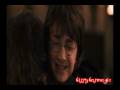 videos de Harry & Hermione-Valentines Day