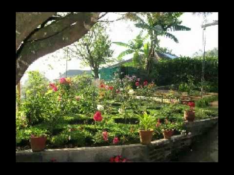 Video of Rheinberg Homestay