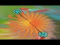Quadran Trax - Neural Phase Remix (Extreme4)